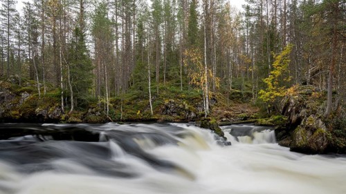 River course in Oulanka National Park, Finland, Europe