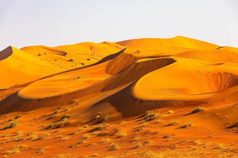 Wind-sculpted curved sand dunes in the Rub al Khali desert, Dhofar province, Arabian Peninsula,