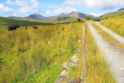 Mount Snowdon landscape view west from Nantygwryd valley, Gwynedd, Snowdonia, north Wales, UK