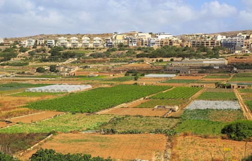 Fertile farm land in Pwales valley, St Paul's Bay, Ghajn Tuffieha, Malta, Europe