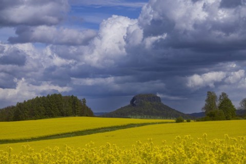 The Lilienstein is the most famous striking rock formation in Saxon Switzerland, Struppen, Saxony,
