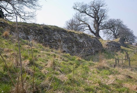 Site of Roman town of Venta Icenorum, Caister St Edmund, Norfolk, England, United Kingdom, Europe