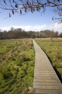A wooden boardwalk across wet marshy field forming an art work High Water Mark 2048 by Jonathan