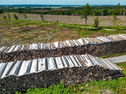 Large tree stacks, Cleared forest in the Eggegebirge, near Lichtenau, Paderborn district, site of a