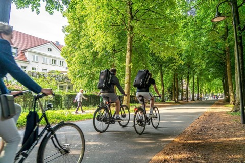 Promenade cycle path, tree-lined, car-free, approximately 4.5 km long ring road around the city