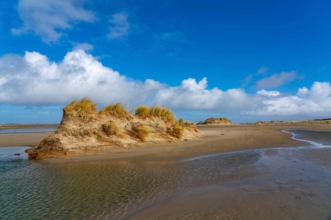 Dune landscape, sand dunes, dune grass in the west of Borkum, island, East Frisia, winter, season,