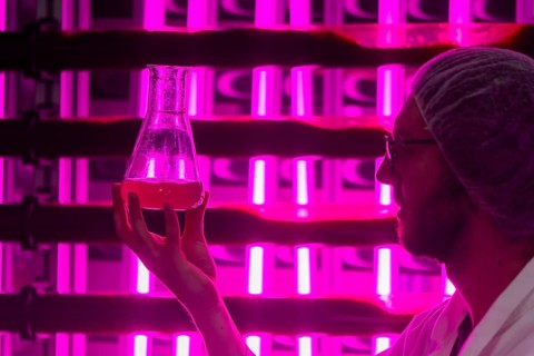 PUEVIT GmbH produces the most efficient photobioreactors for the cultivation of microalgae. The aim