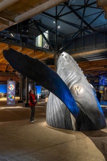 Plante Ozean exhibition in the Gasometer in Oberhausen, the world's oceans in their fragile beauty