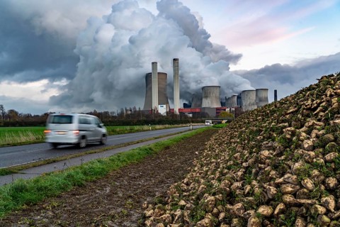 Sugar beet harvest, at the lignite-fired power station, RWE Power AG Niederaußem power station,