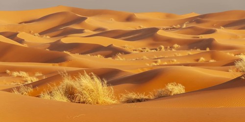 Sand dunes, Erg Chebbi, Sahara, Southern Morocco, Morocco, Africa