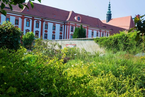 The Cistercian monastery of St Marienstern (sorb. Marijina Hwezda) is located on the Klosterwasser