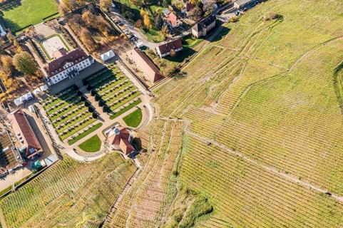 Aerial view of vineyard and castle Wackerbarth with Belvedere, Radebeul near Meissen, Germany,