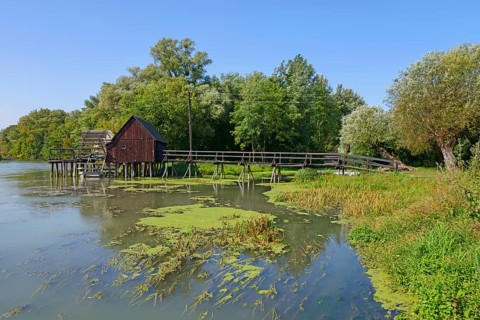 A wooden footbridge leads to a wooden mill on the calm waters of the Little Danube surrounded by