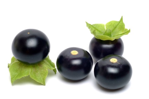 Food, fruit, black Jaltomata, Jaltomata procumbens is a plant species from the genus Jaltomata in