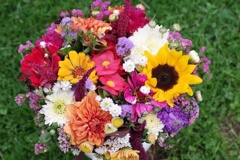 Bouquet of flowers, colourful, autumnal, gift, decoration, close-up of a colourful bouquet of