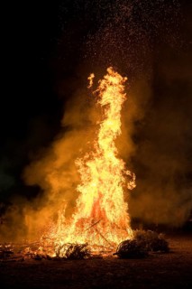 Environmental pollution, fire from discarded Christmas trees, Ostfildern-Plieningen,