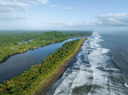 Aerial view, beach and sea, coast with rainforest, Tortuguero National Park, Costa Rica, Central
