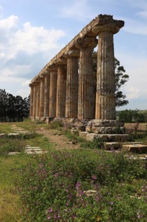 Metaponto, Metaponte, Doric hera temple, Tavole Palatine, Basilicata, Italy, Europe