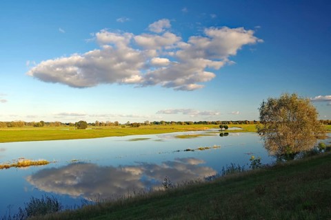 Flooded Elbe meadows reflect the clouds in the blue sky in the middle of a vast landscape, autumn,