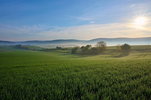 Green fields and meadows under a blue sky with few clouds, the morning sun shines on a peaceful