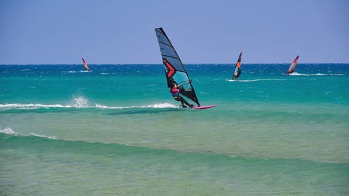 Several windsurfers glide over the blue sea under a clear sky, surfer's paradise, kitesurfer,