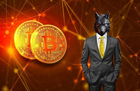 Symbolic image, wolf in a suit, digital currency, Bitcoin, resources, energy, industry, economy