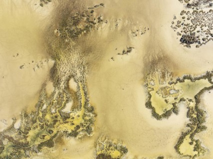 Marshland at low tide. Nature Reserve La Breña y Marismas del Barbate. Aerial view. Drone shot.