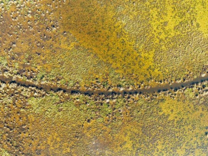 Detail of marshland near Sanlúcar de Barrameda. Aerial view. Drone shot. Cádiz province, Andalusia,