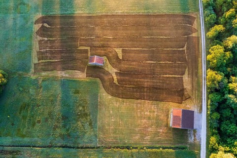 Aerial view of a meadow fertilised with liquid manure in the morning light, summer, Alpine