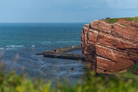 Red coloured sandstone, steep cliff coast of the high seas island of Heligoland, home of the