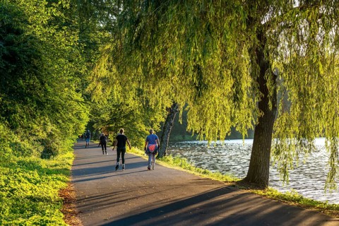 Inline skaters on Lake Baldeney, around 14 kilometres around the Ruhr reservoir, summer evening on