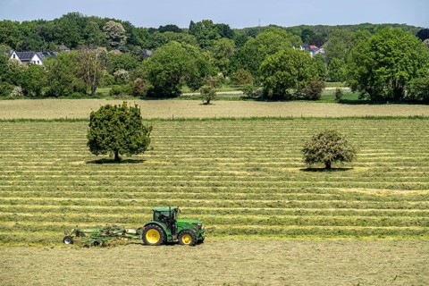 Hay harvest, in a meadow near Duisburg-Baerl, tractor with roundabout tedder, a hay tedder that
