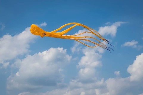 Yellow squid as flying dragon, octupus, wind, childhood, figure, blue sky, autumn, Germany, Europe