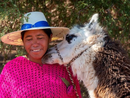 Indigenous woman of the Atacameño minority with llama, Atacama Desert, Chile, South America