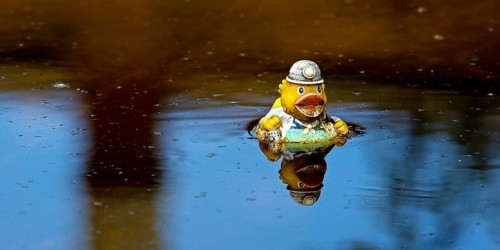 Miner's rubber duck swimming in the sewage basin of the disused Hansa coking plant, Dortmumd, Ruhr