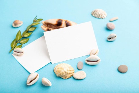 Composition with white paper business cards, seashells, green boxwood. mockup on blue pastel