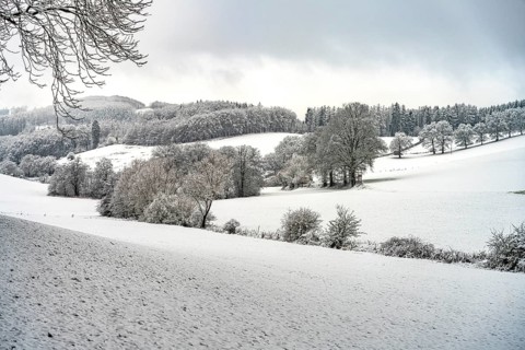 Snowy winter landscape in the Sauerland, Sundern, Hochsauerlandkreis, North Rhine-Westphalia