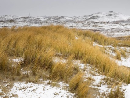 Sand Dune landscape in the nature reserve Loodsmansduin, die Bollekammer, during a snow storm at