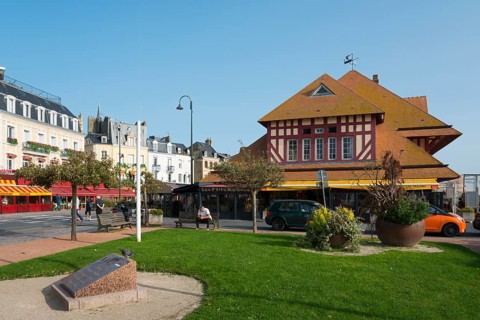 Half-timbered building with green lawn in an urban setting in sunny weather, fish market,
