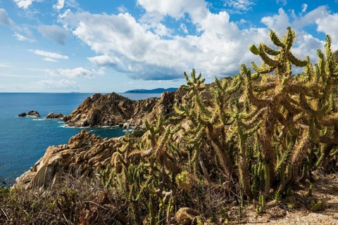 Coastal landscape with cacti and rocks, Capo Ferrato, Muravera, Province of Cagliari, Sardinia,