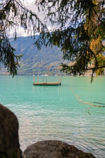 Wooden platform floating on azure blue lake, framed by trees, Lake Brienz, Switzerland, Europe
