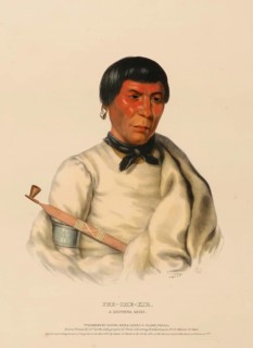 Pee-Che-Kir, A Chippewa Chief (1843), Native American, Historical Native American tribes from North