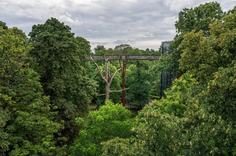Lift to the Treetop Walkway, steel structure, Royal Botanic Gardens (Kew Gardens), UNESCO World