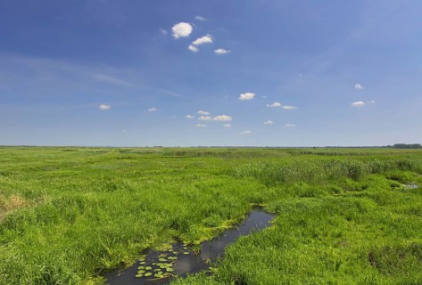 Uj? cie Warty National Park, Warta River-Mouth National Park, Lubusz Voivodeship, Lubusz Province,