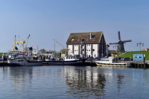 Fishing boats in the home harbour of the fishing fleet, Oudeschild, Texel, North Holland,