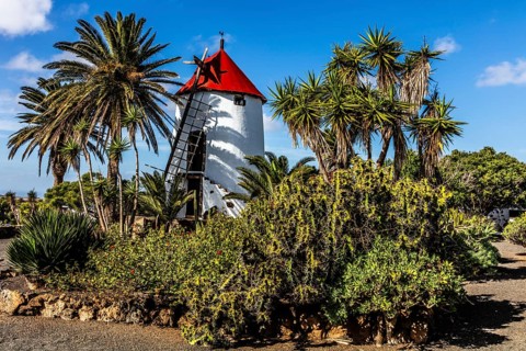 2016, Tiagua, Lanzarote, Farm Museum El Patio, Tiagua, ESP, Spain, Canary Islands, Canary Islands,
