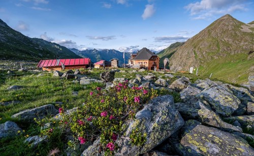 Mountain hut Lasörlinghütte in the evening light, mountain landscape with alpine roses,