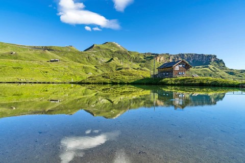 Hut at Fuscher Lacke, Edelweißspitz in the background, blue sky, reflection, Grossglockner High
