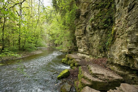 Hiking trail by the river, Wutach Gorge, Bonndorf, Baden-Württemberg, Black Forest, Germany, Europe