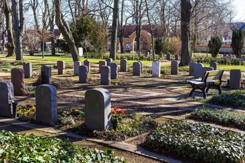 The first spring flowers appear on the graves, Alleestraße cemetery, Riesa, Saxony, Germany, Europe